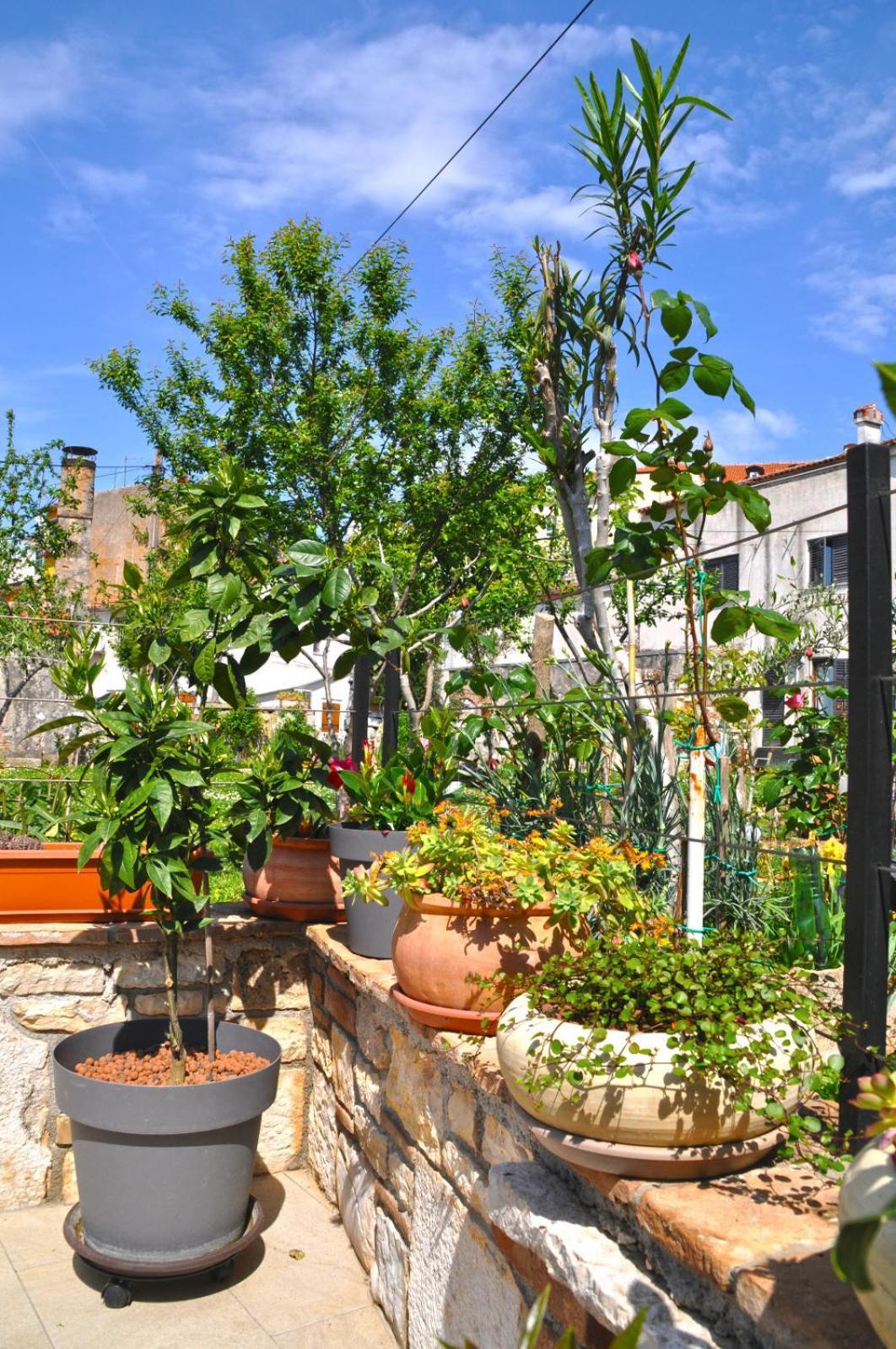 Apartment Delight City Rovinj Exterior photo