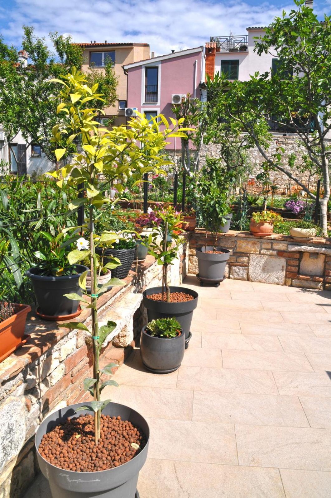 Apartment Delight City Rovinj Exterior photo